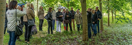 Gruppe på guidet rundvisning i Bytræarboretet. Foto: Marie Fangel Cleemann