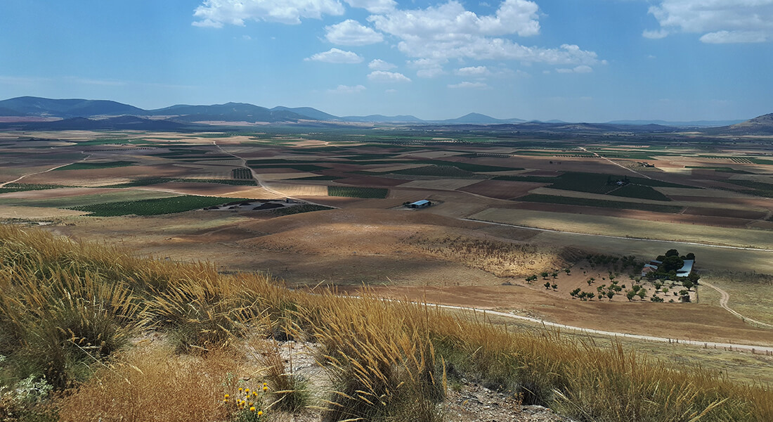 Intensive irrigated agriculture in Castile-La Mancha, Spain