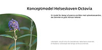 Konceptmodel for Helseskoven Octovia