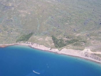 De to plantager ved Kuussuaq, Tasermiut fjorden set fra helikopter.
