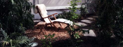 Hvilestol blandt planter i drivhus
