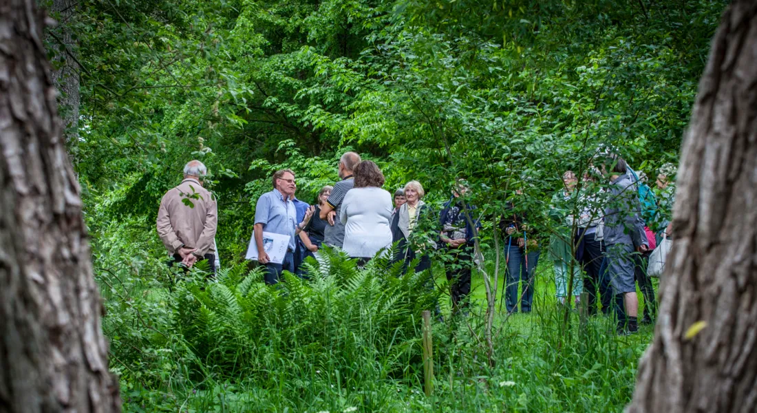 Rundvisning i Aboretet. Foto Kent Pørksen