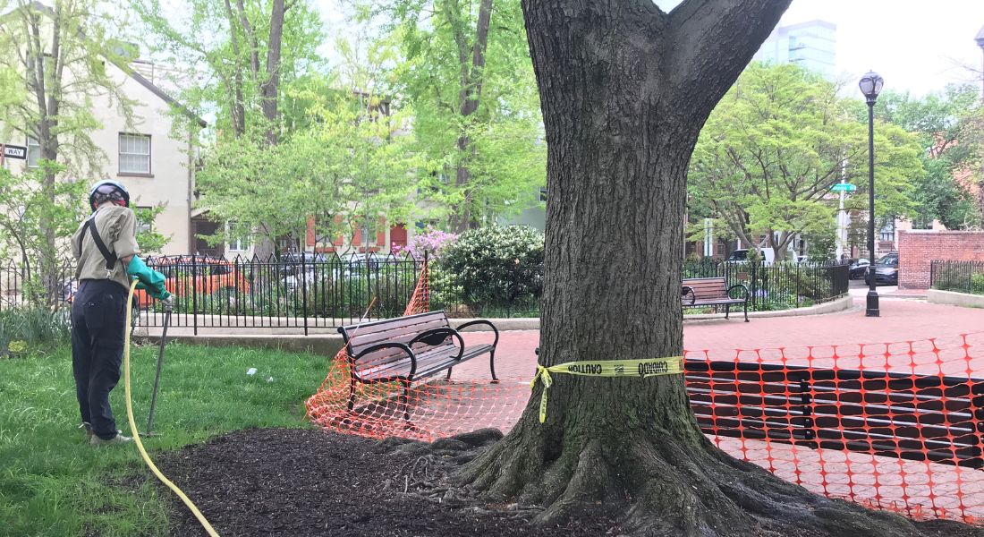 Woordworker and tree with a caution sign on it