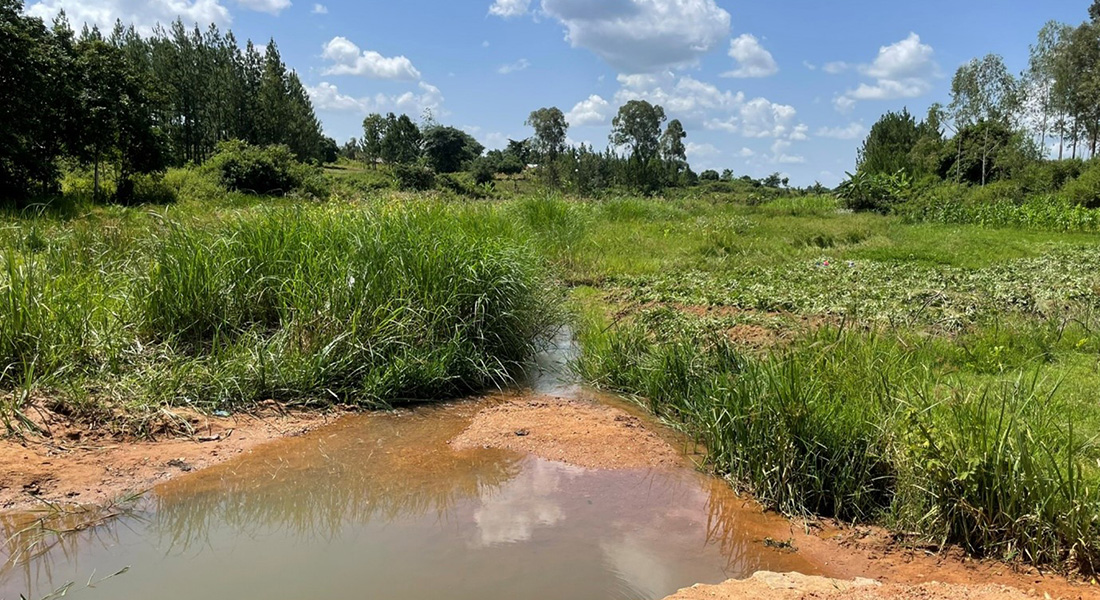 Head source of Enyau river