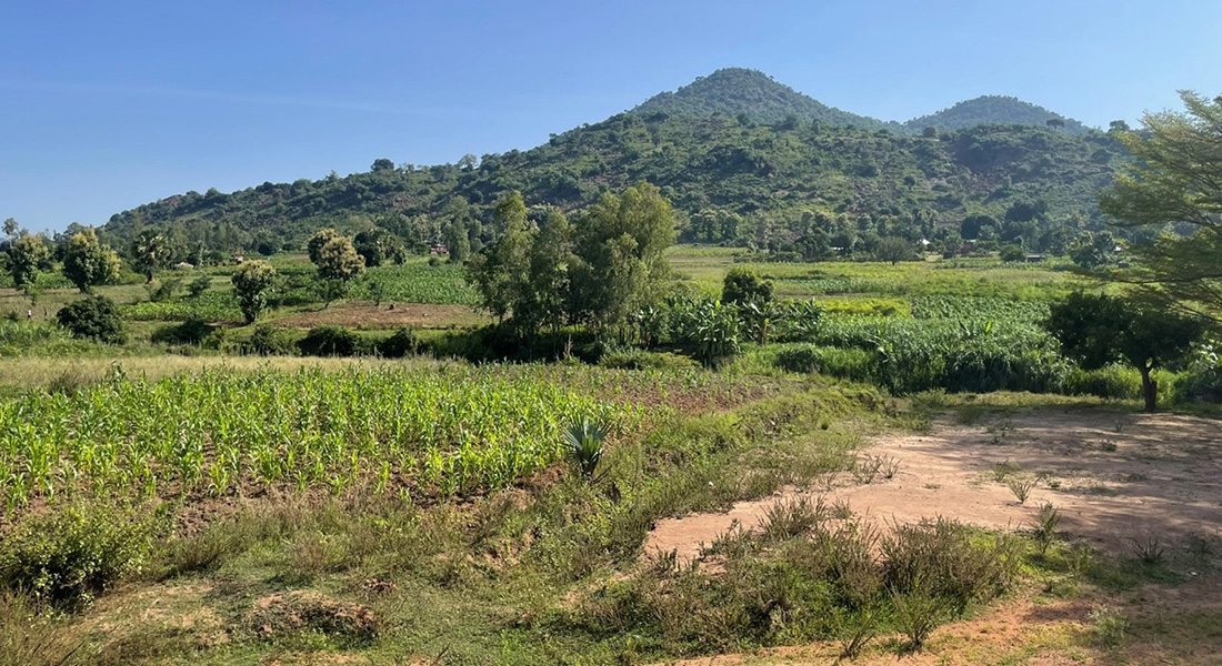 Landscape Enyau catchment