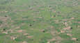 Satellite images reveal a nexus between war, cropland abandonment and food insecurity in South Sudan