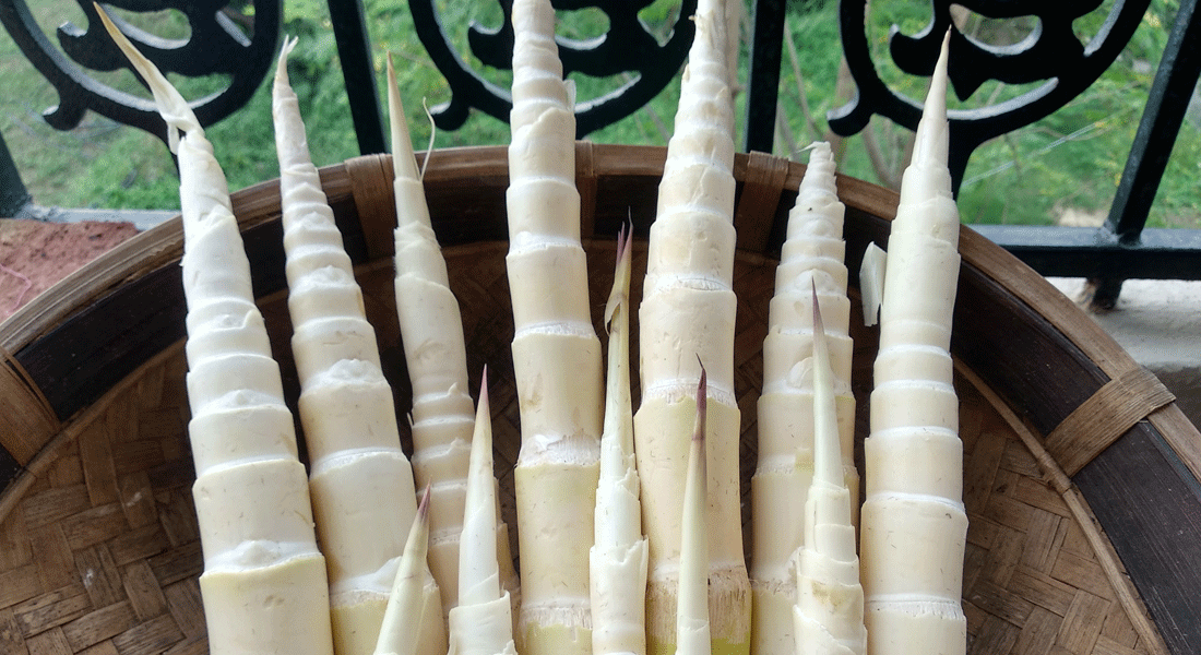 Young bamboo shoots sourced from the local weekly markets in Jharkhand is abundant during spring season. The shoots are often pickled to be stored for later use.  