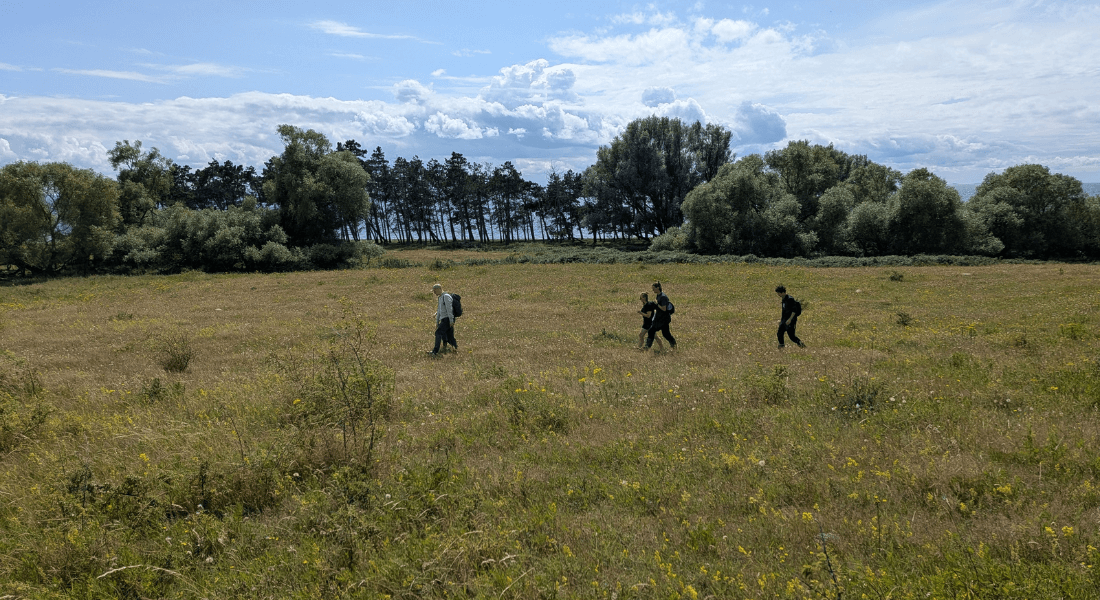 Forest and Nature Management