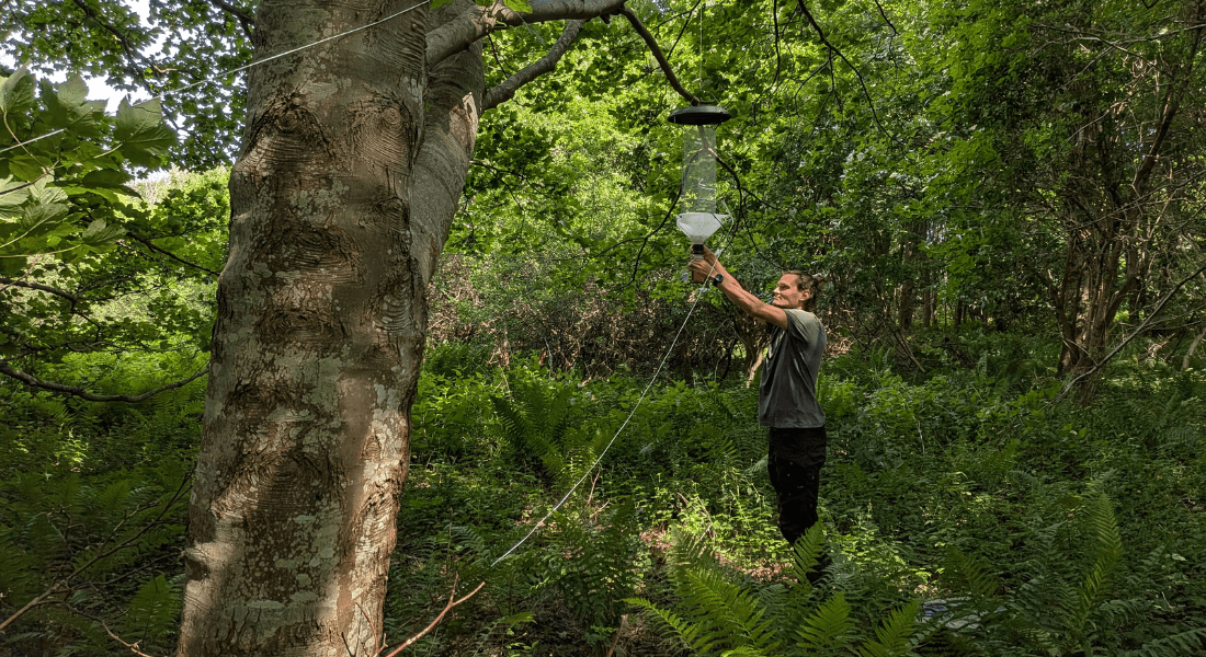 Forest and Nature Management