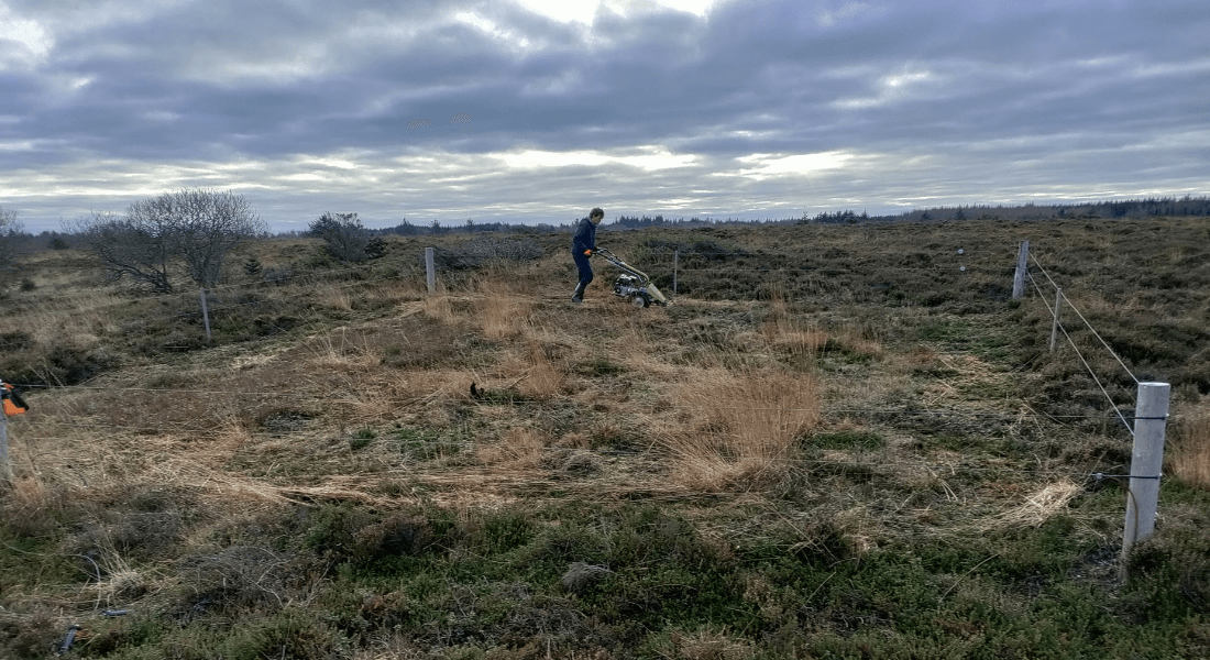 Forest and Nature Management