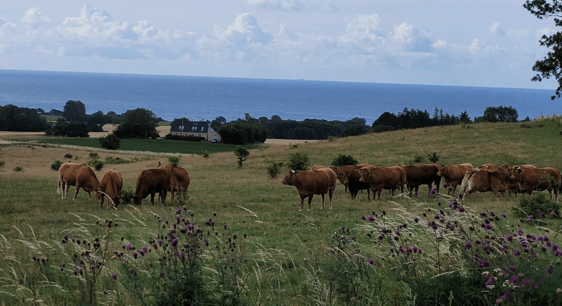 Forest and Nature Management