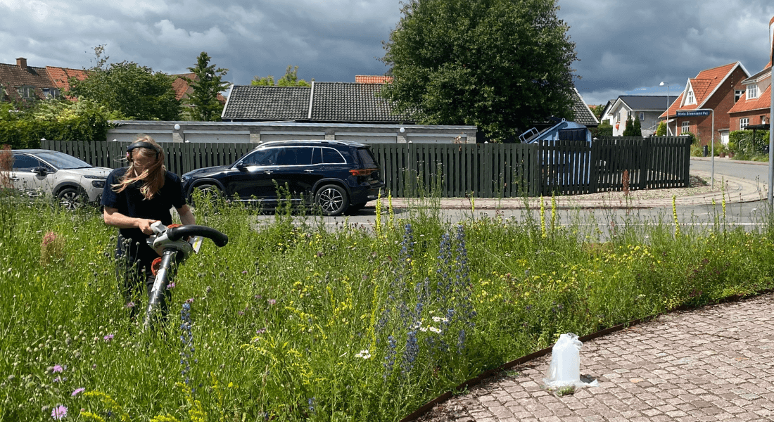 Forest and Nature Management