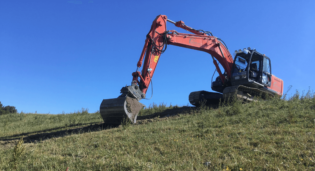 Forest and Nature Management