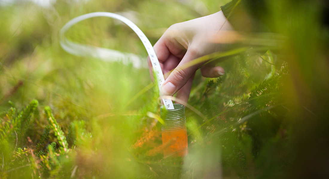 Surface water-groundwater interaction
