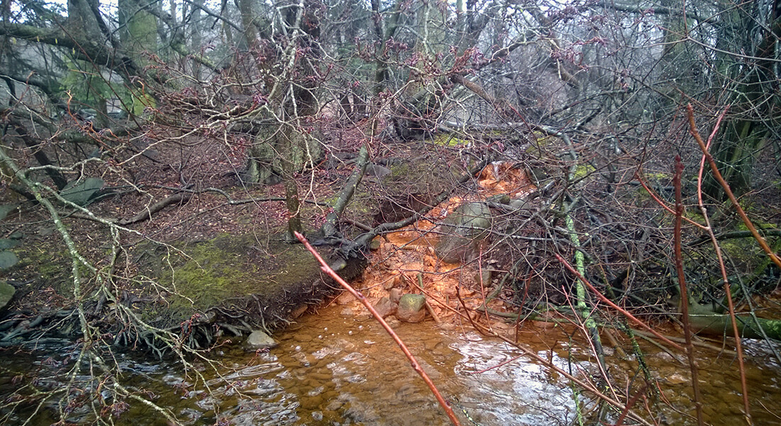 Surface water-groundwater interaction