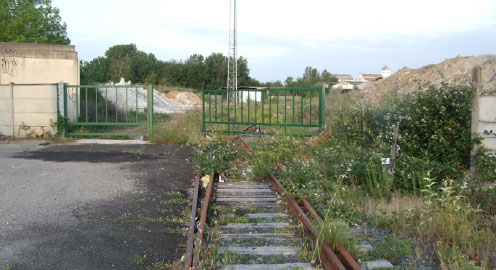 Deserted railway area with wild plants