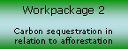 Workpackage 2
