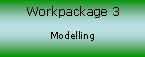Workpackage 3