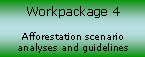 Workpackage 4