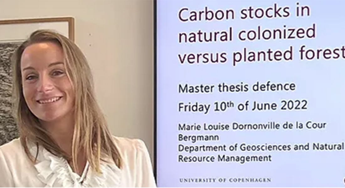 Carbon stocks in natural colonized versus planted forests