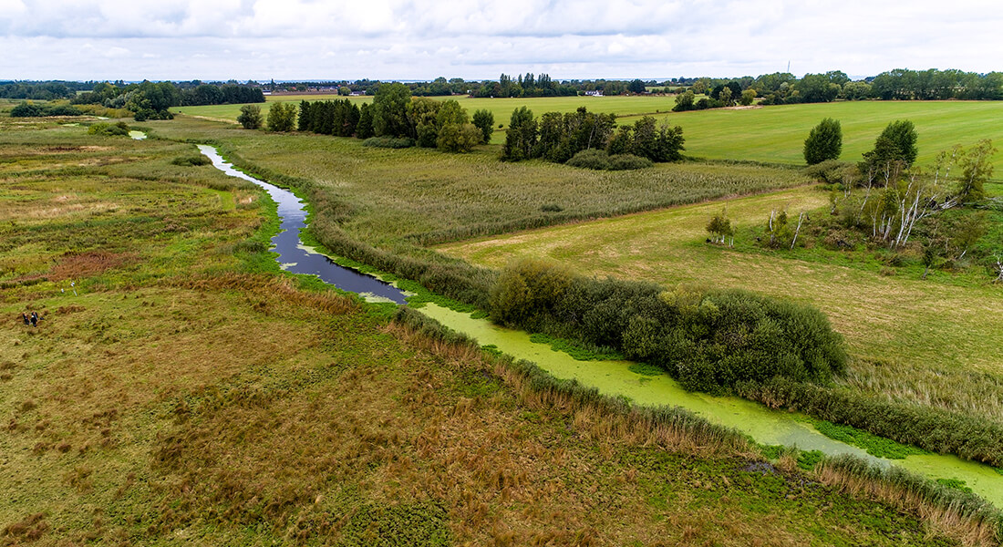 Foto Kent Pørksen