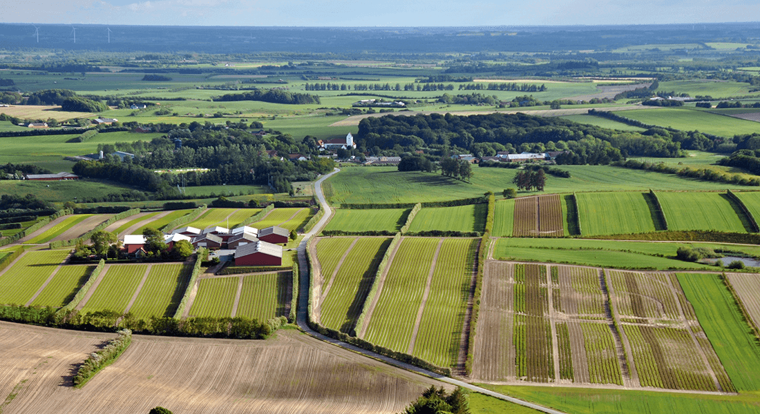 LANDSKABSARKITEKTUR