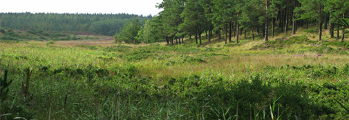 Økologi og naturforvaltning