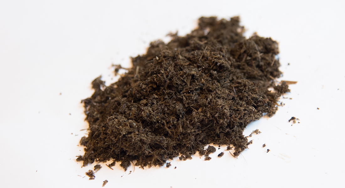 Biogas fibre