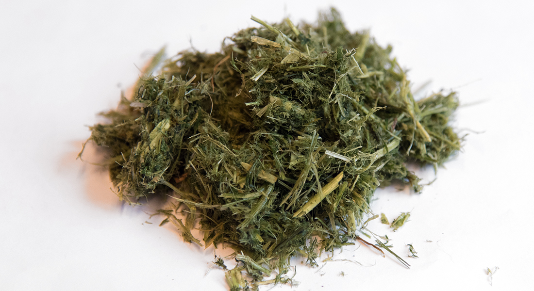 Lucerne fibre