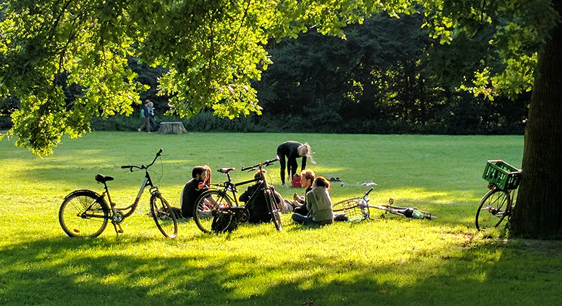 People relaxing in the park