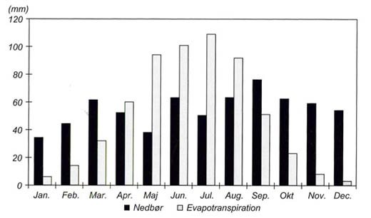 Nedbør og evapotranspiration