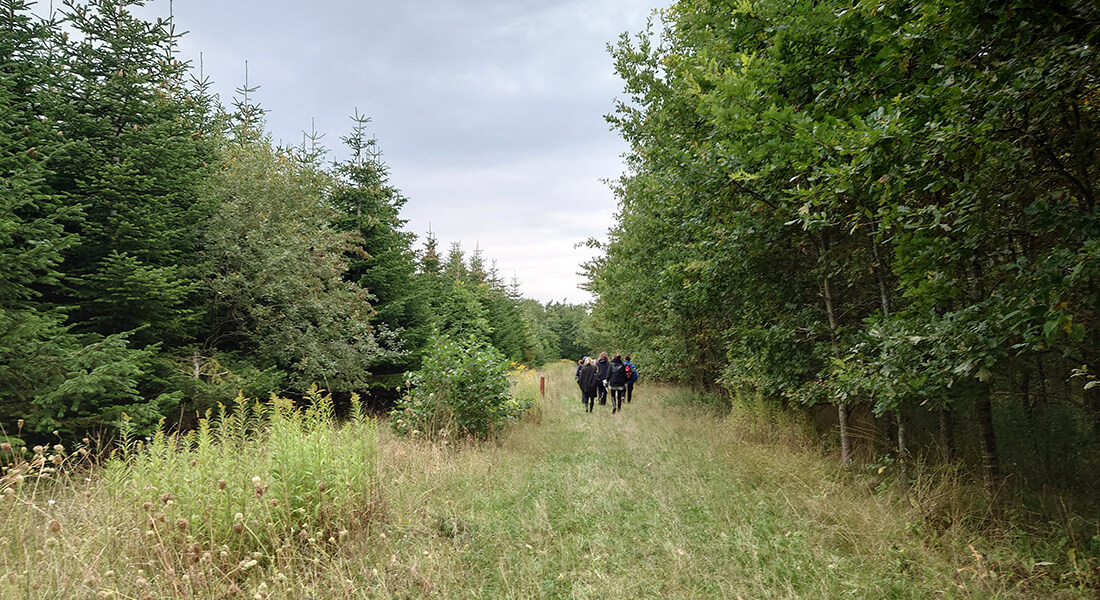 Mennesker i skov