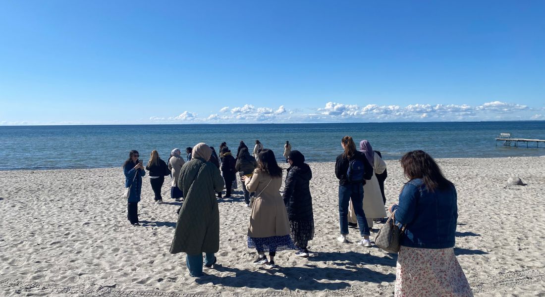Gruppe af mennesker, der går på en strand, set bagfra