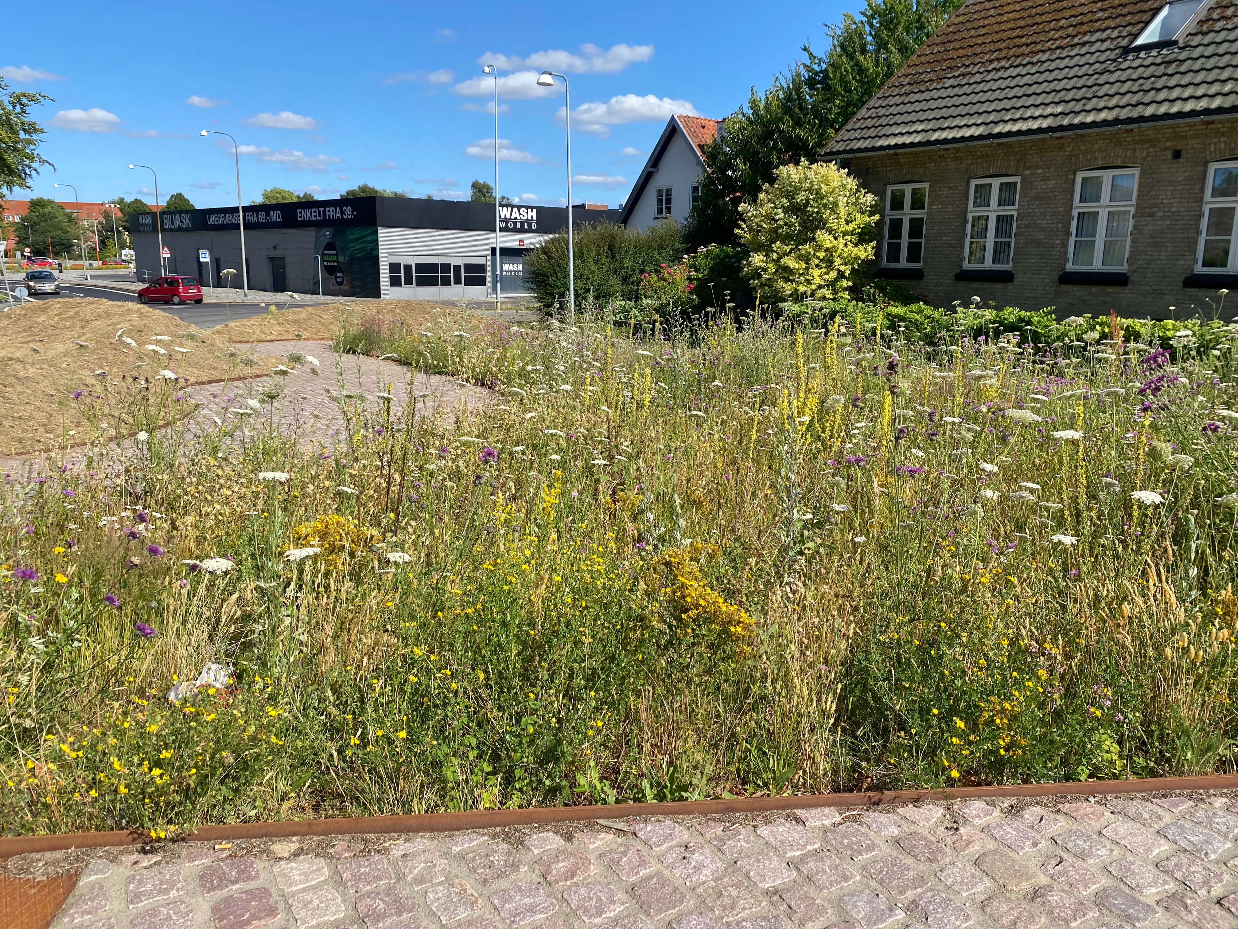 Klimatilpasningsprojektet “Træøen” i Odense