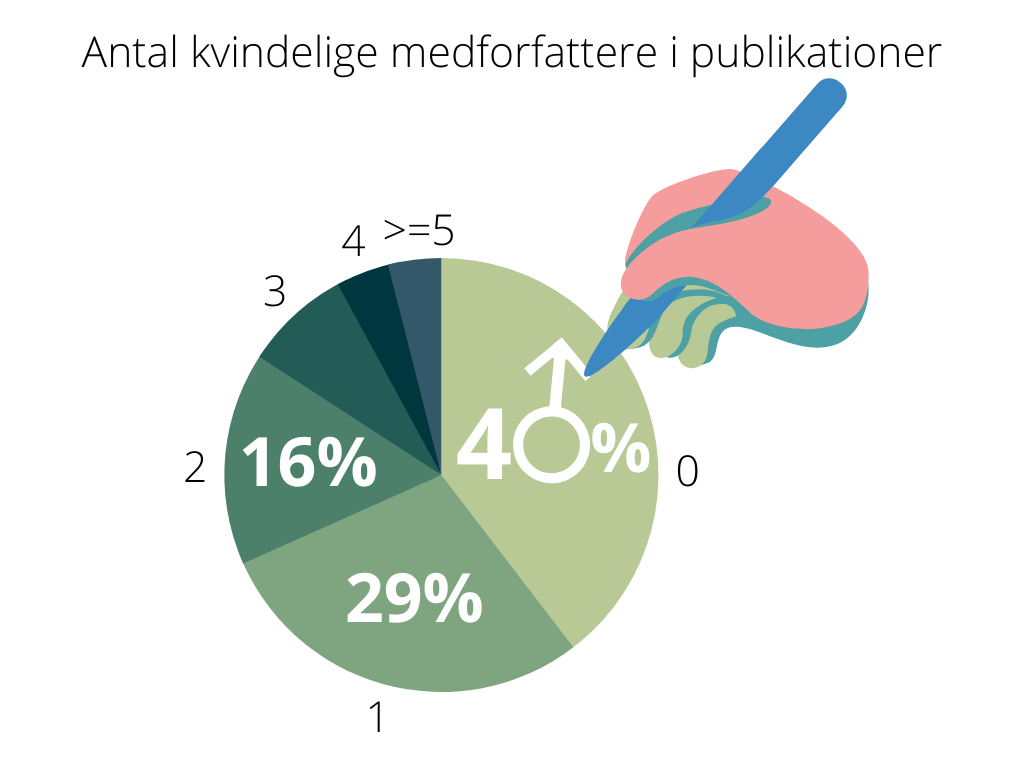 Graf: Antal kvindelige medforfattere i publikationer