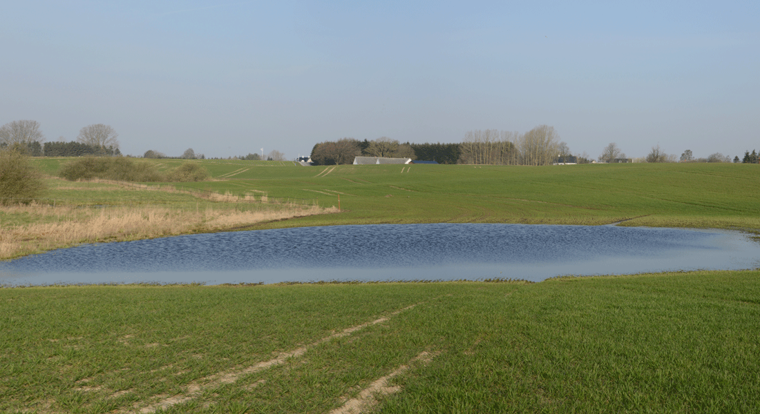 Oversvømmede marker er ikke et sjældent syn, men deres arealmæssige udbredelse er mindre end 1% af det dyrkede areal på Sjælland