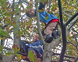 Drenge klatrer i træer. Foto: Malene Bendix 