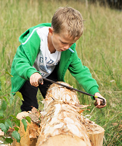 Dreng lærer at save på Skovens Dag