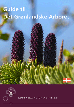 Guide til Det Grønlandske Arboret