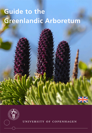 Guide til Det Grønlandske Arboret_engelsk
