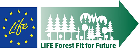 Logo LIFE Forest Fit for Future