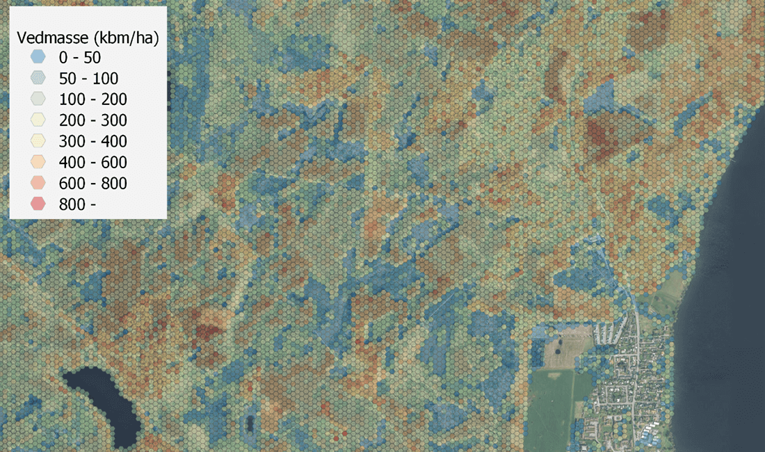 Skovressourcekort fra den sydlige del af Grib Skov. Kortet er bygget op om hexagoner med en sidelængde på 30 m.