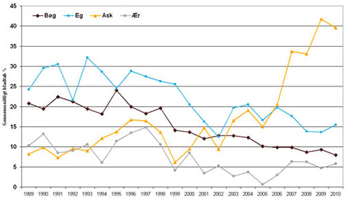Udviklingen af det gennemsnitlige bladtab hos bladtab for bøg, eg, ask og ær i Danmark i perioden 1989-2010